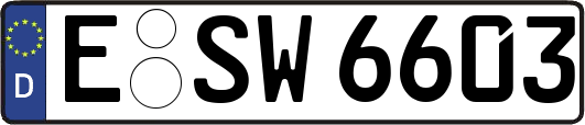 E-SW6603