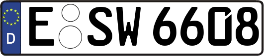 E-SW6608