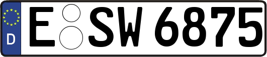 E-SW6875