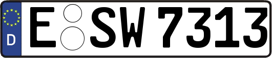 E-SW7313