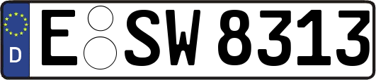E-SW8313