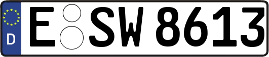 E-SW8613