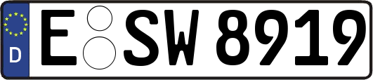 E-SW8919