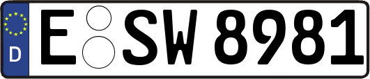 E-SW8981