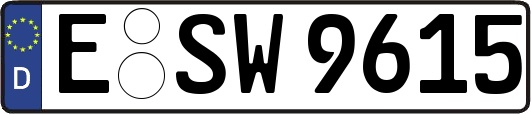 E-SW9615