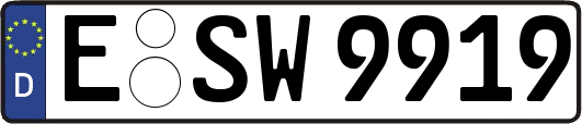 E-SW9919