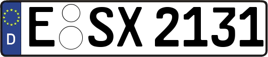 E-SX2131