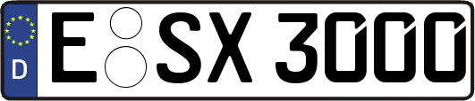 E-SX3000