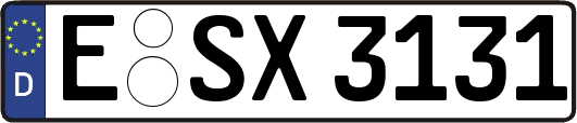 E-SX3131