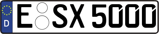 E-SX5000