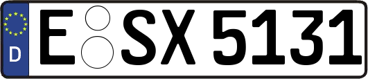 E-SX5131