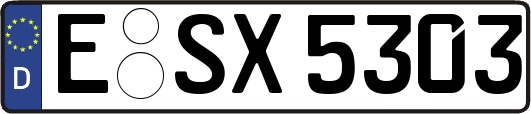 E-SX5303