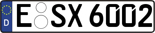 E-SX6002