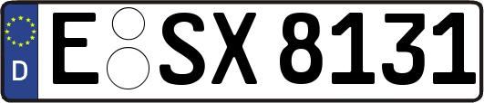 E-SX8131
