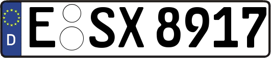 E-SX8917
