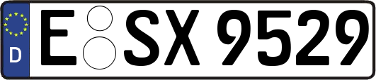 E-SX9529