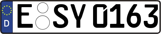 E-SY0163