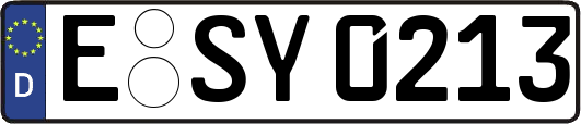 E-SY0213