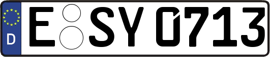 E-SY0713