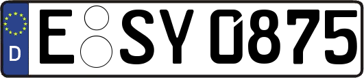 E-SY0875