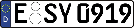 E-SY0919