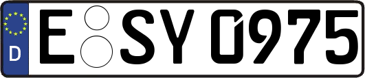 E-SY0975