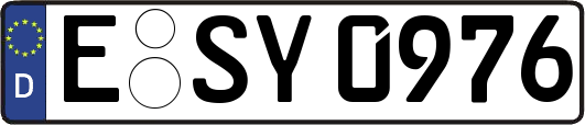 E-SY0976