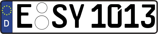 E-SY1013
