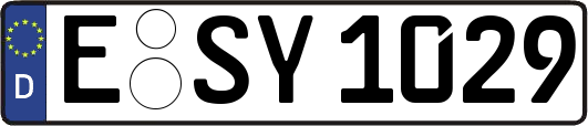 E-SY1029