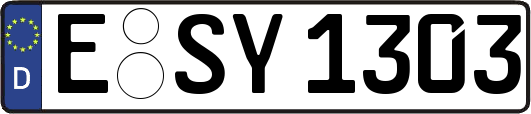 E-SY1303