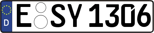 E-SY1306