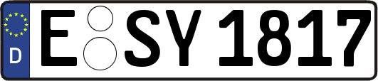 E-SY1817