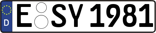E-SY1981