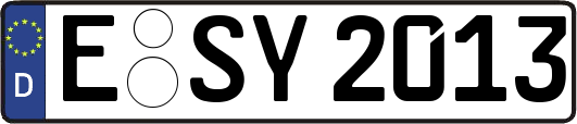 E-SY2013