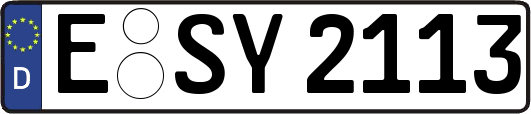E-SY2113