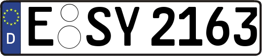 E-SY2163