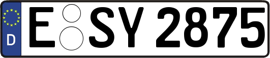 E-SY2875