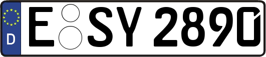 E-SY2890