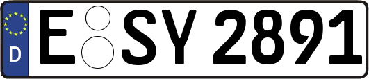 E-SY2891