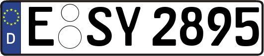 E-SY2895