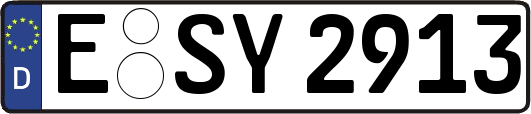 E-SY2913