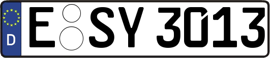 E-SY3013
