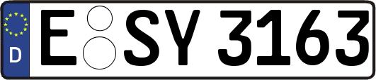 E-SY3163