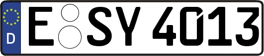 E-SY4013