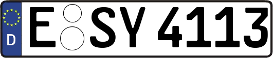 E-SY4113