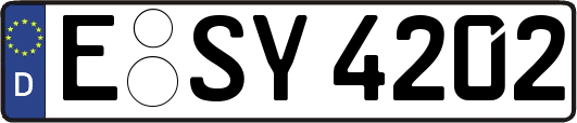E-SY4202