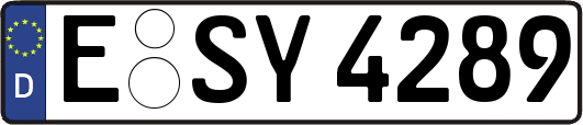 E-SY4289
