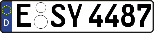 E-SY4487