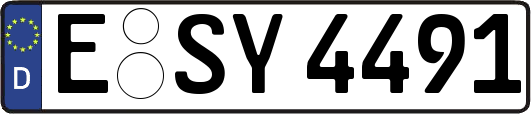 E-SY4491