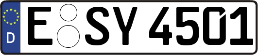 E-SY4501